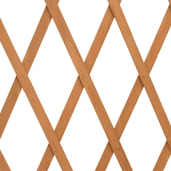 Buer, Spalier, Lysthuse Uden Tag^Espalierhegn til haven - Massivt fyrretræ | Størrelse: 180x100 cm | Farve: Orange