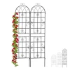 Buer, Spalier, Lysthuse Uden Tag^Espalier-sæt, 150x50x1,5 cm, Sort