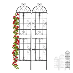 Buer, Spalier, Lysthuse Uden Tag^Espalier-sæt, 150x50x1,5 cm, Sort