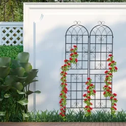 Buer, Spalier, Lysthuse Uden Tag^Espalier-sæt, 150x50x1,5 cm, Sort