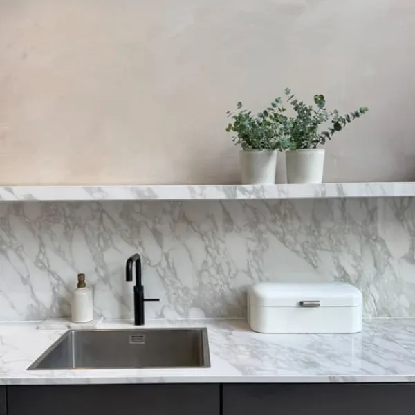 Krukkeplanter Indendørs^Eukalyptus - Sæt med 4 - Eucalyptus 'Pulverulenta' - Højde 25-40cm - ⌀12cm