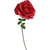 Blomster^EVIGE ROSE Kæmpe 160 cm GAVE TIL EN KVINDE TIL DIN KONE PÅ VALENTINSDAG
