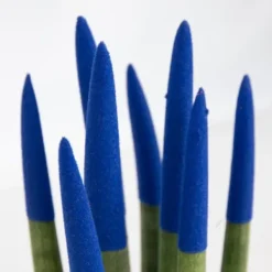Outlet Farvet bajonetplante - Sansevieria cylindrica - Højde 20-40cm - ⌀9cm Krukkeplanter Indendørs