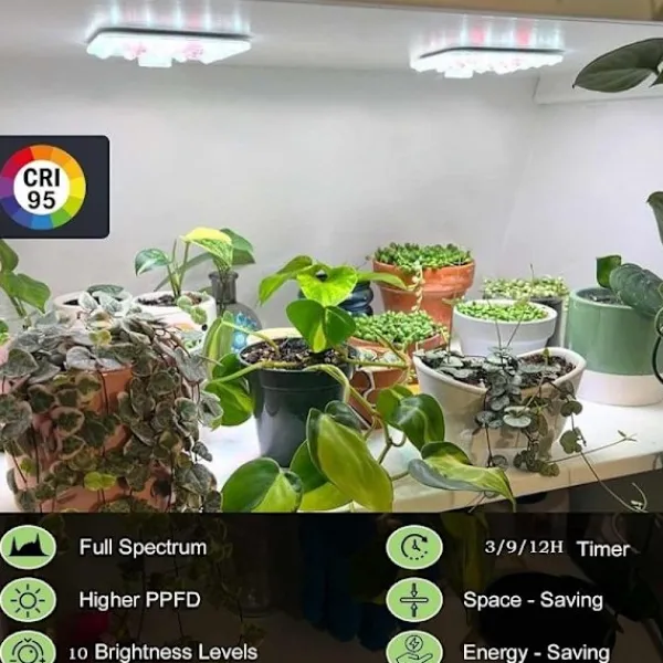 Hot Fire-hovedet LED plantelys til loftmontering med timer og dæmpbar fuldspektrum Kit Til Plante- & Urtedyrkning