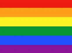 Sale Flag - Pride Flag & Vindposer