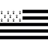 Flag & Vindposer^Flag Bretagne 150 x 90 cm. Size-Standard