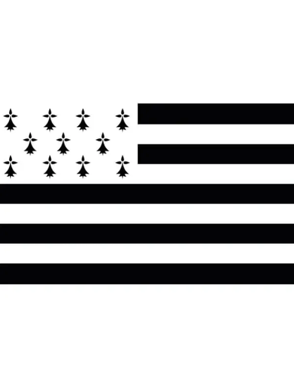 Flag & Vindposer^Flag Bretagne 150 x 90 cm. Size-Standard