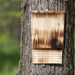 Til Fugle & Småvildt^Flagermusehus, 37x22x12,5 cm, Natur