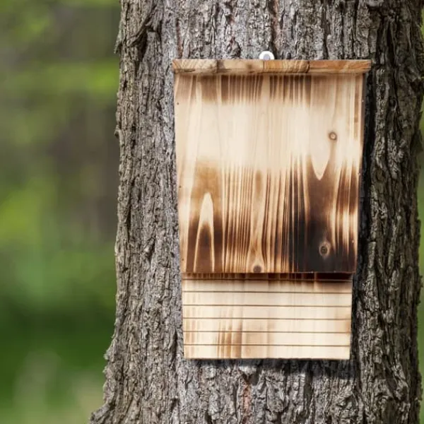 Til Fugle & Småvildt^Flagermusehus, 37x22x12,5 cm, Natur