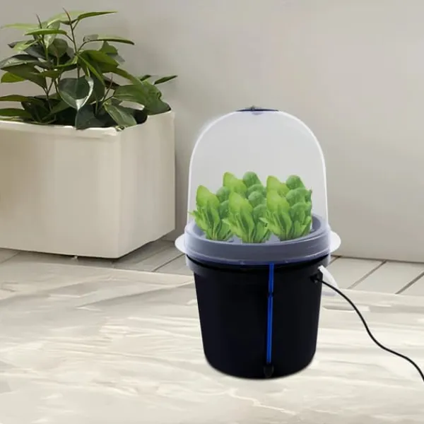 Sale Fogponics hydroponisk system - Indendørs plantesæt - 8 plantepladser - Automatisk tågecyklus - Timer 60/30 min - 12–24 V DC - 27×27×29 cm - Sort Kit Til Plante- & Urtedyrkning