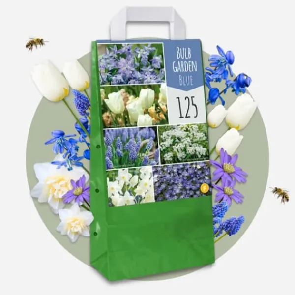Frø^Forårsblomst pærer blå - Sæt med 125 - Blomsterløg - Blå