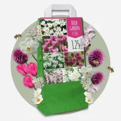 Online Forårsblomst pærer rosa - Sæt med 125 - Blomsterløg - Lilla Frø