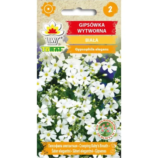 Outlet Frø af hvid sommerlilje - Let og luftig blomstring til blomsterbede og buketter Frø