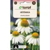 Frø^Frø af hvid svanesolhat - hvidblomstrende staude, der tiltrækker sommerfugle