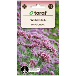 Frø^Frø af kæmpeverbena - Lang blomstrende staude, der tiltrækker bestøvere