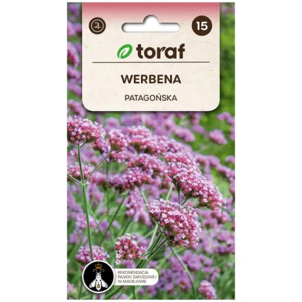 Frø^Frø af kæmpeverbena - Lang blomstrende staude, der tiltrækker bestøvere