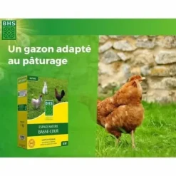 Sale Frø BHS 1 kg Frø