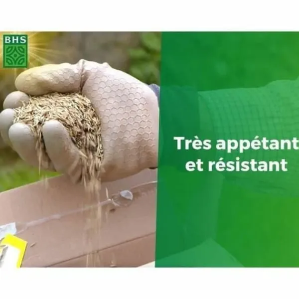 Sale Frø BHS 1 kg Frø