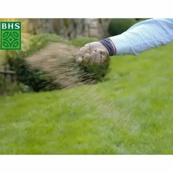 Online Frø BHS 3 Kg Frø