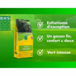 Sale Frø BHS Gazon Anglais 10 kg Frø