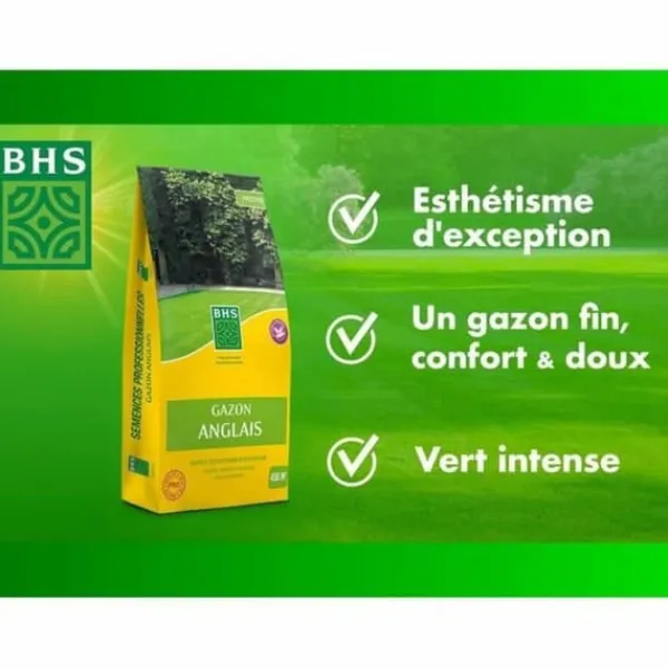 Sale Frø BHS Gazon Anglais 10 kg Frø