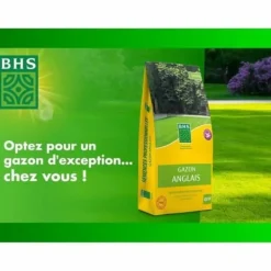 Sale Frø BHS Gazon Anglais 10 kg Frø