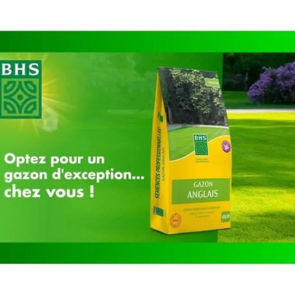 Sale Frø BHS Gazon Anglais 10 kg Frø