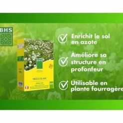 Frø^Frø BHS Trèfle Blanc 500 g