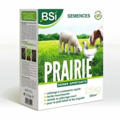 Frø^Frø BSI