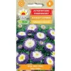 Frø^Frø til aster Ruckley Supreme - Blå pomponblomster med hvidgul midte