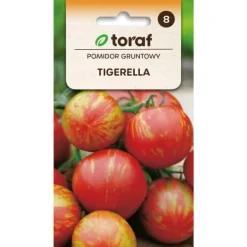 Frø til tomat Tigerella - Stribede, smagfulde tomater med en krydret note Frø