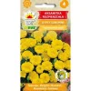 Frø^Fransk morgenfruefrø Gypsy Sunshine - Rigelig blomstring med citronfarvede blomster
