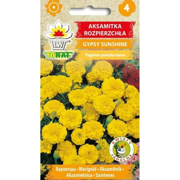 Frø^Fransk morgenfruefrø Gypsy Sunshine - Rigelig blomstring med citronfarvede blomster