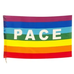 Flag & Vindposer^Färgglad Peace Flag Polyester Pacifist Flagga 90 X 145 cm Peace Banner Flaggor för trädgårdsbalkong utomhus