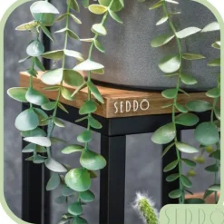 Sale Fritstående blomsterstativ til blomster og planter, 4 niveauer, metal, rustik, 76 cm Plantestativer