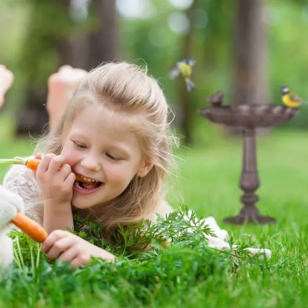 Til Fugle & Småvildt^Fuglebad, 24.5x22x18 cm, Brun