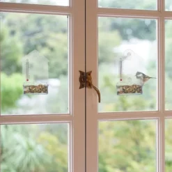 Til Fugle & Småvildt^Fuglefoderbræt, 17x11,5x5 cm, Transparent