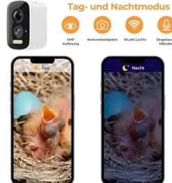 Clearance Fuglekasse Kamera, 5 Million Pixel Nattesyn, Naturligt Trædesign,M, Lys Grå Til Fugle & Småvildt