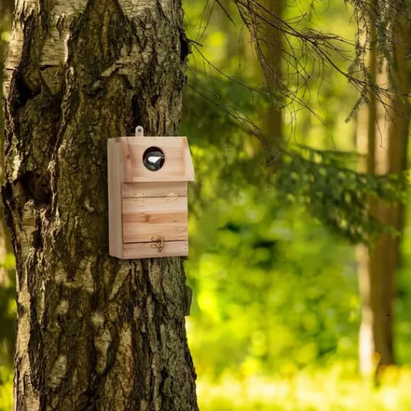 Til Fugle & Småvildt^Fuglekasse, 24,5x14x14 cm, Natur