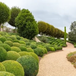 Clearance Gødning til Thujas, Arborvitaes, Nåletræer, Garden Start 5 kg Gødningsmidler
