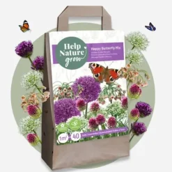 Frø^Glad sommerfugl - Sæt med 40 - Allium, Nectaroscordum - Blomsterløg - Flerfarvet
