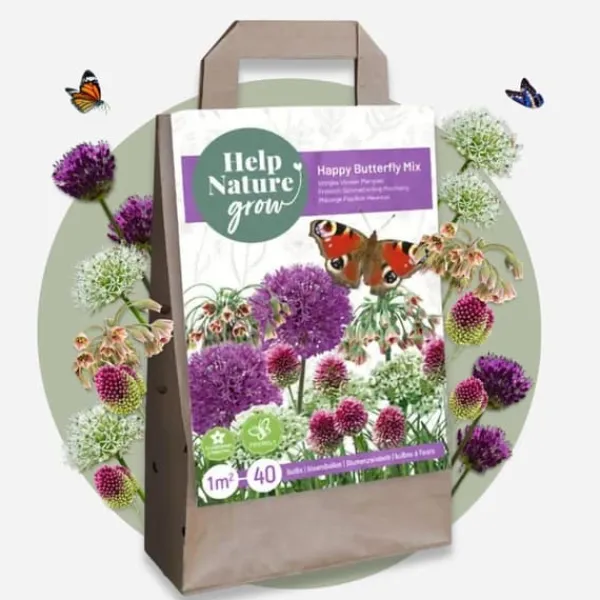 Frø^Glad sommerfugl - Sæt med 40 - Allium, Nectaroscordum - Blomsterløg - Flerfarvet