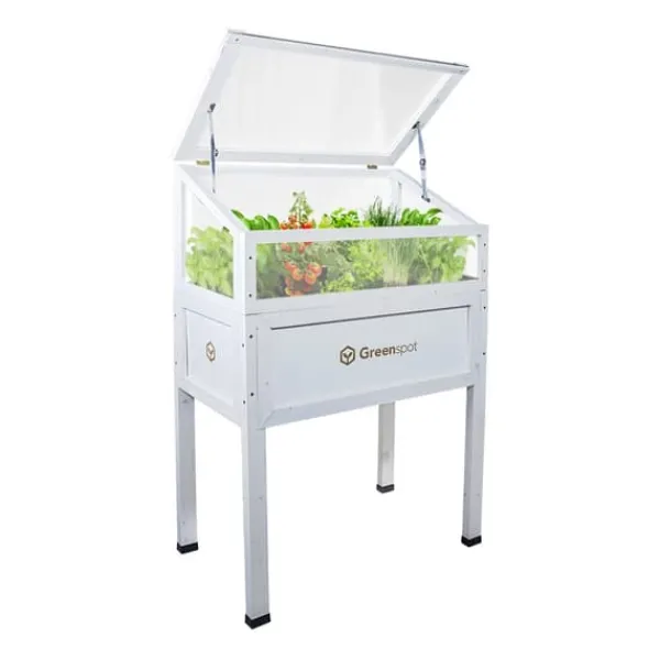 Drivhus^Greenspot Mini Drivhus med Overdækning til Altan og Terrasse 80x45x120 cm - Drivhus på en træplatform, Hævet træbed, Kold ramme med overdækning på høj | CDON