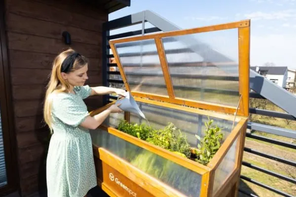 Drivhus^Greenspot Mini Drivhus med Overdækning til Altan og Terrasse 80x45x120 cm - Drivhus på en træplatform, Hævet træbed, Kold ramme med overdækning på høj | CDON