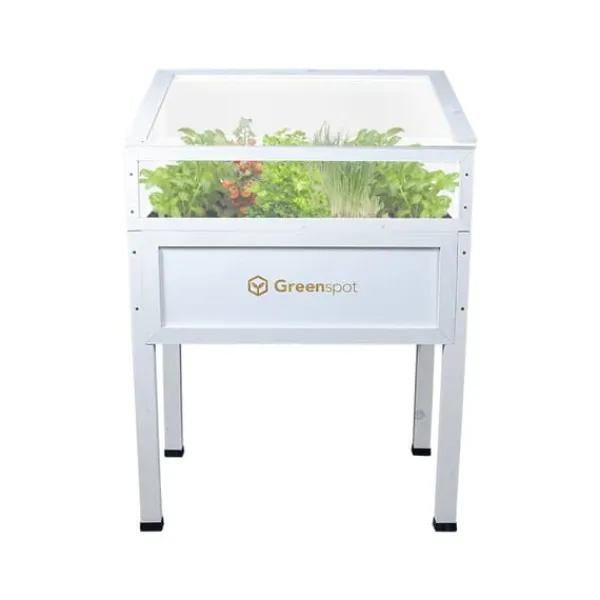 Drivhus^Greenspot Mini Drivhus med Overdækning til Altan og Terrasse 80x45x120 cm - Drivhus på en træplatform, Hævet træbed, Kold ramme med overdækning på høj | CDON