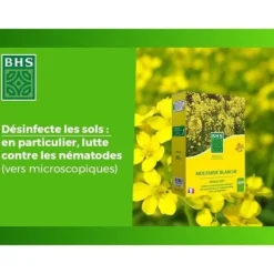 Best Grøn gødning - BHS - Hvid sennep 500g | 100 m² | Forbedrer og desinficerer jorden for bedre frugtbarhed. Gødningsmidler