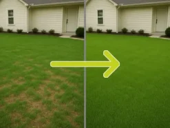 Græs 5kg SOS Regenerative Græsfrø til Eftersåning 200m2 Egarden Frø