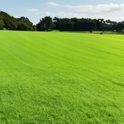 Græs 5kg SOS Regenerative Græsfrø til Eftersåning 200m2 Egarden Frø