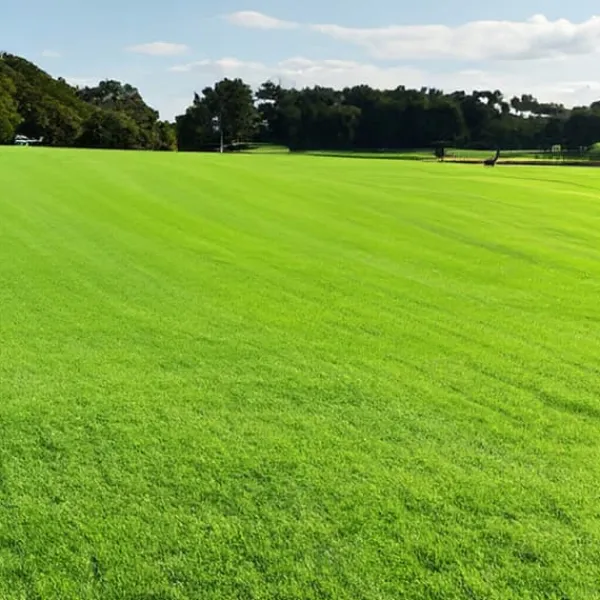 New Græs 1kg SOS Regenerative Græsfrø til Eftersåning 40m2 Egarden Frø