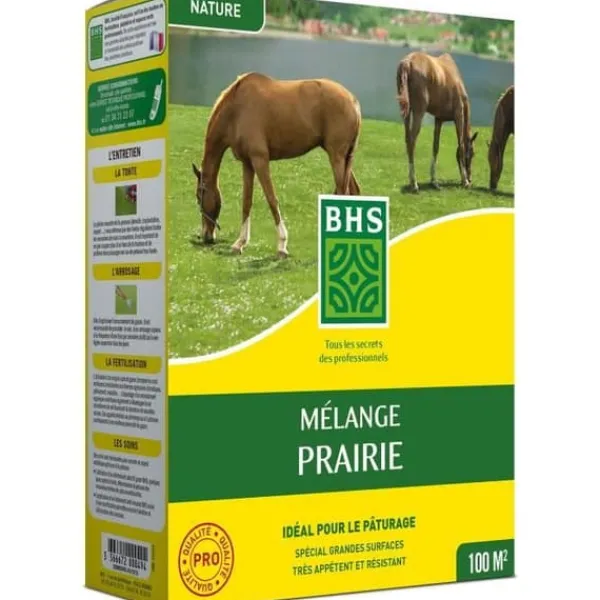 Sale Gräsmatta - BHS - Ängsmix 1 kg | 40 m² | För stora ytor och betesmarker | Snabb att installera, hållbar, underhållsfri. Gødningsmidler